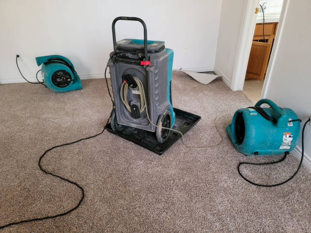Best Flood damage cleanup  in Noroton, CT