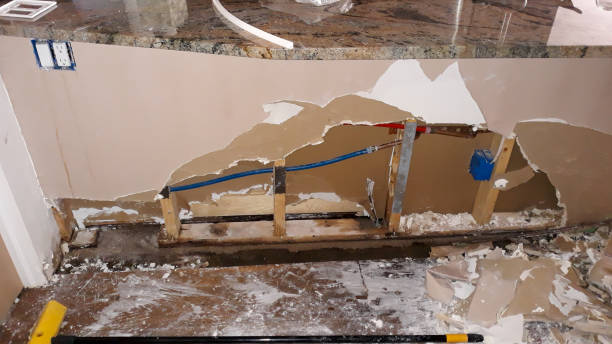 Best 24/7 water damage repair  in Noroton, CT