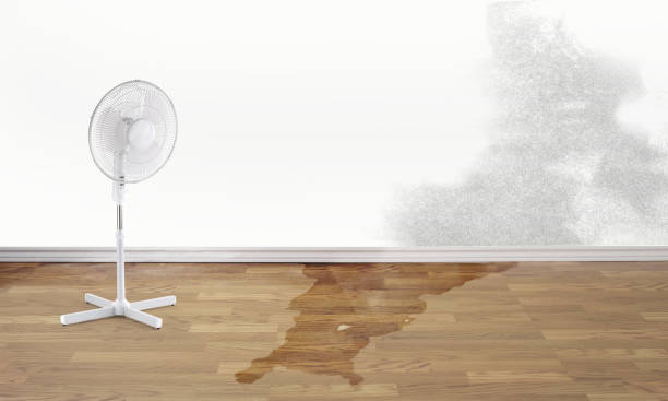 Water damage restoration process in CT