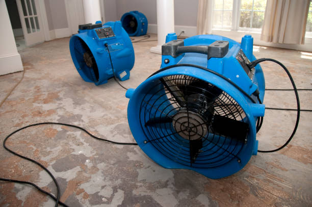 Best Flooded house restoration  in Noroton, CT