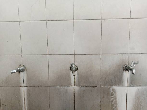 Best Water damage restoration near me  in Noroton, CT