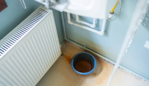 Best Ceiling water damage repair  in Noroton, CT