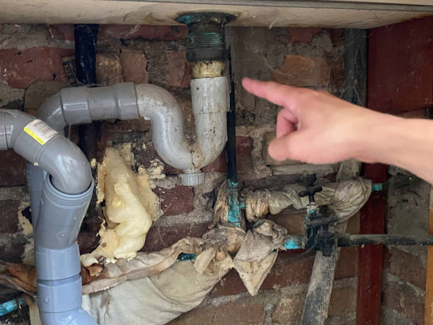 Best Carpet water damage restoration  in Noroton, CT