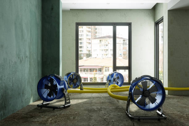 Best Professional water damage repair  in Noroton, CT