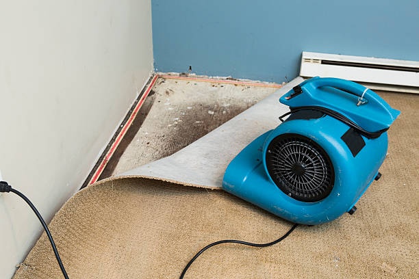 Best Mold removal after water damage  in Noroton, CT